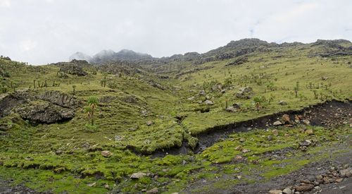 Landscape panorama view in the simien mountains national park in the highlands of northern ethiopia.