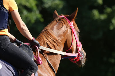 Midsection of woman riding horse