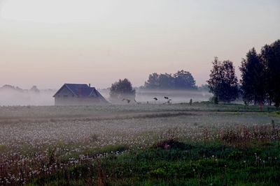 Scenic view of field against sky during foggy weather