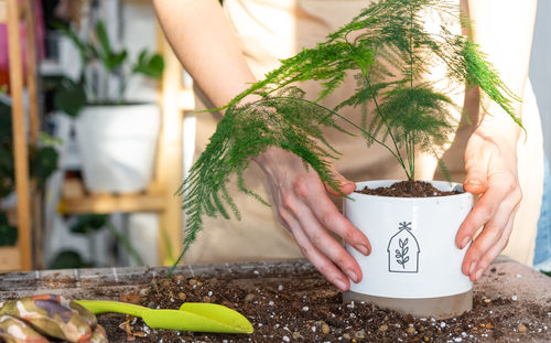 Midsection of woman holding potted plant