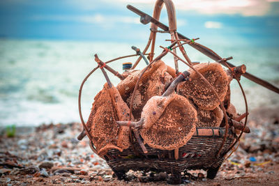 Close-up of crab on sand at beach against sky