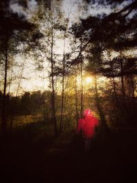 Scenic view of field against sky at sunset