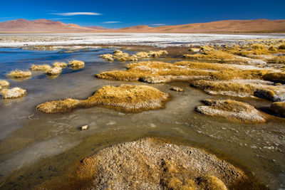 Frozen water at the shore of salar del quisquiro in the altiplano atacama desert, chile