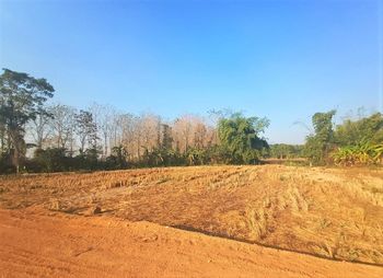 Scenic view of field against clear sky