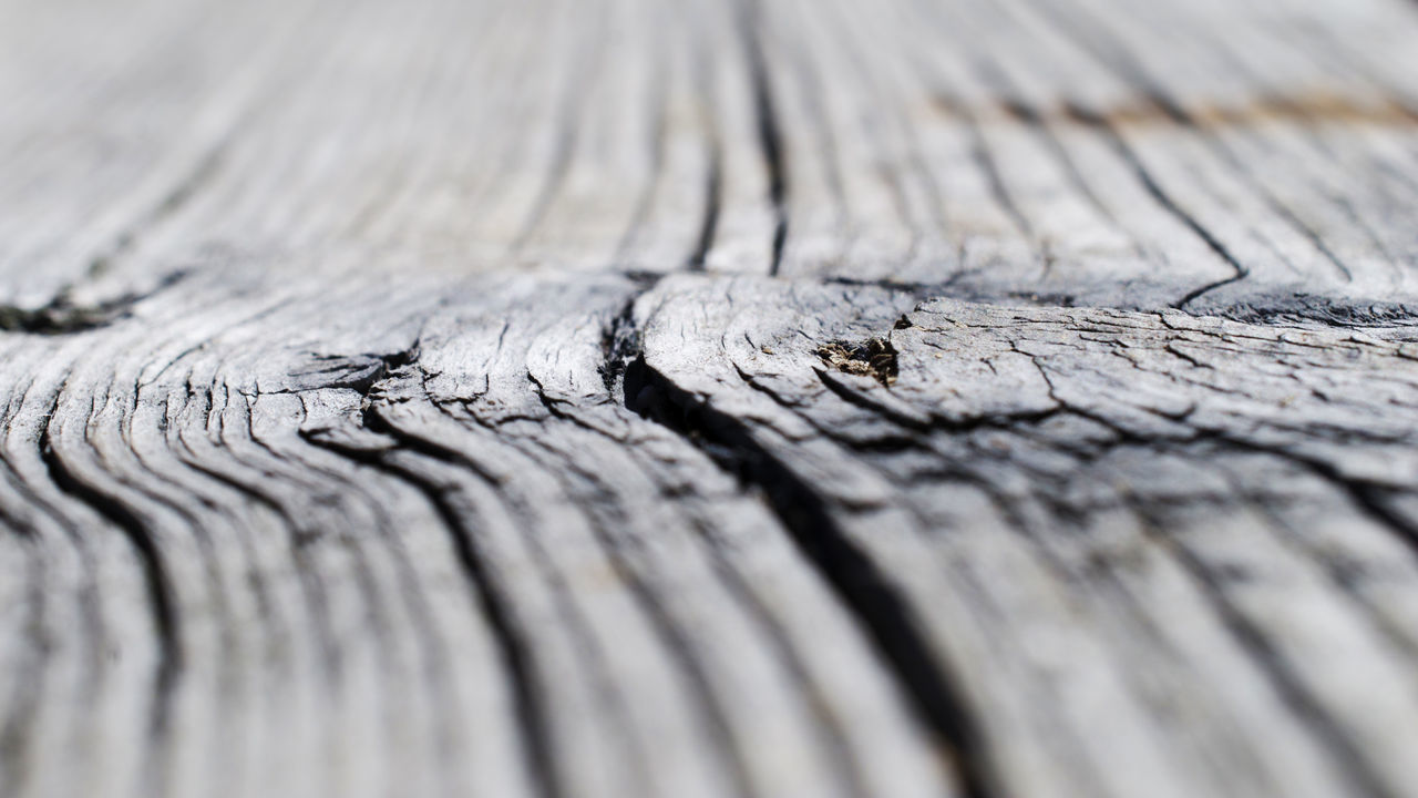 CLOSE-UP OF WOODEN RAILING