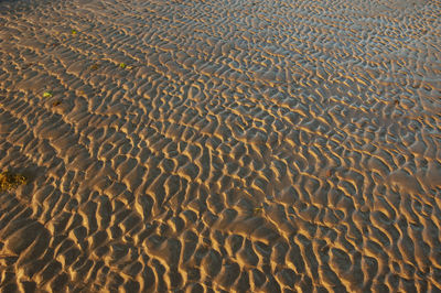 Full frame shot of sea water