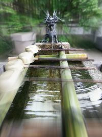 Close-up of statue against water