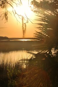 Scenic view of lake during sunset
