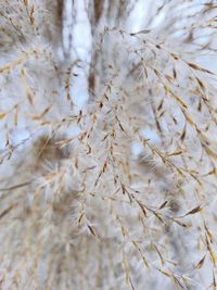 Full frame shot of abstract background