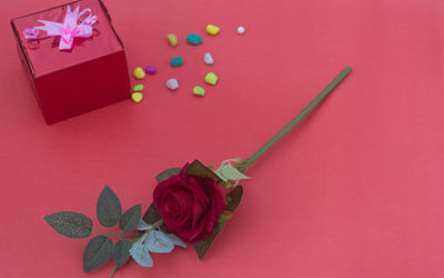 High angle view of pink roses against red background