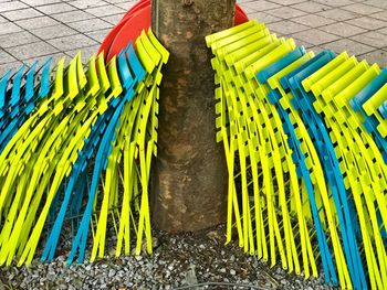 Folded chairs leaning on tree trunk