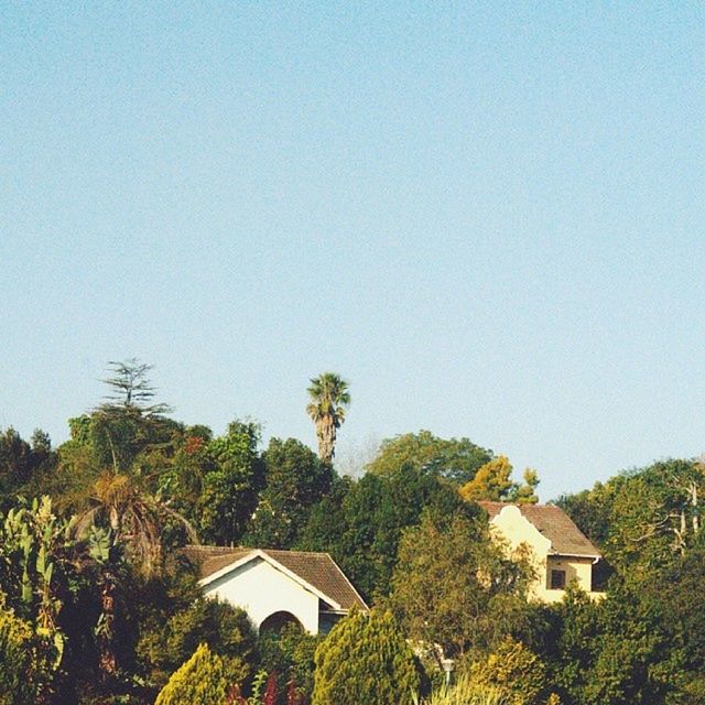 building exterior, architecture, built structure, clear sky, house, tree, copy space, residential structure, residential building, roof, blue, low angle view, growth, outdoors, day, nature, no people, building, high section, town