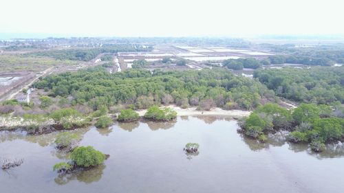 High angle view of trees on landscape against sky