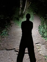 Rear view of silhouette man standing on footpath in forest