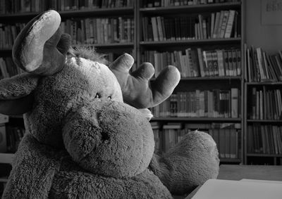Close-up of toy animal at table in library