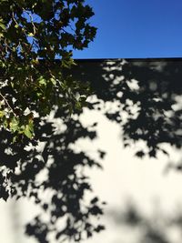 Low angle view of trees against clear blue sky