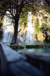 Waterfall in forest