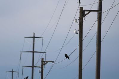 Low angle view of birds on cable against sky