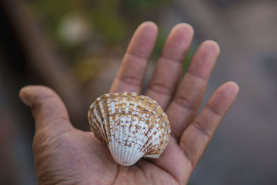 Close-up of person holding hand