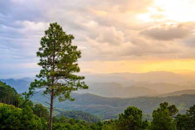 Scenic view of tree mountains against sky