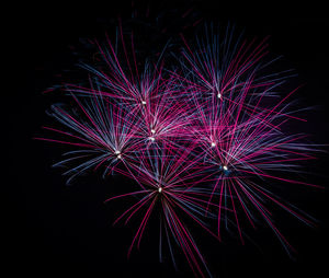 Low angle view of firework display against sky at night