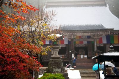 View of buildings in autumn