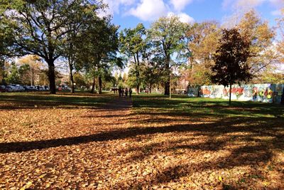 Trees in park