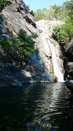 Scenic view of waterfall in forest