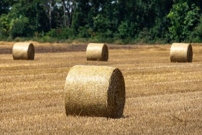 Hay bales on field