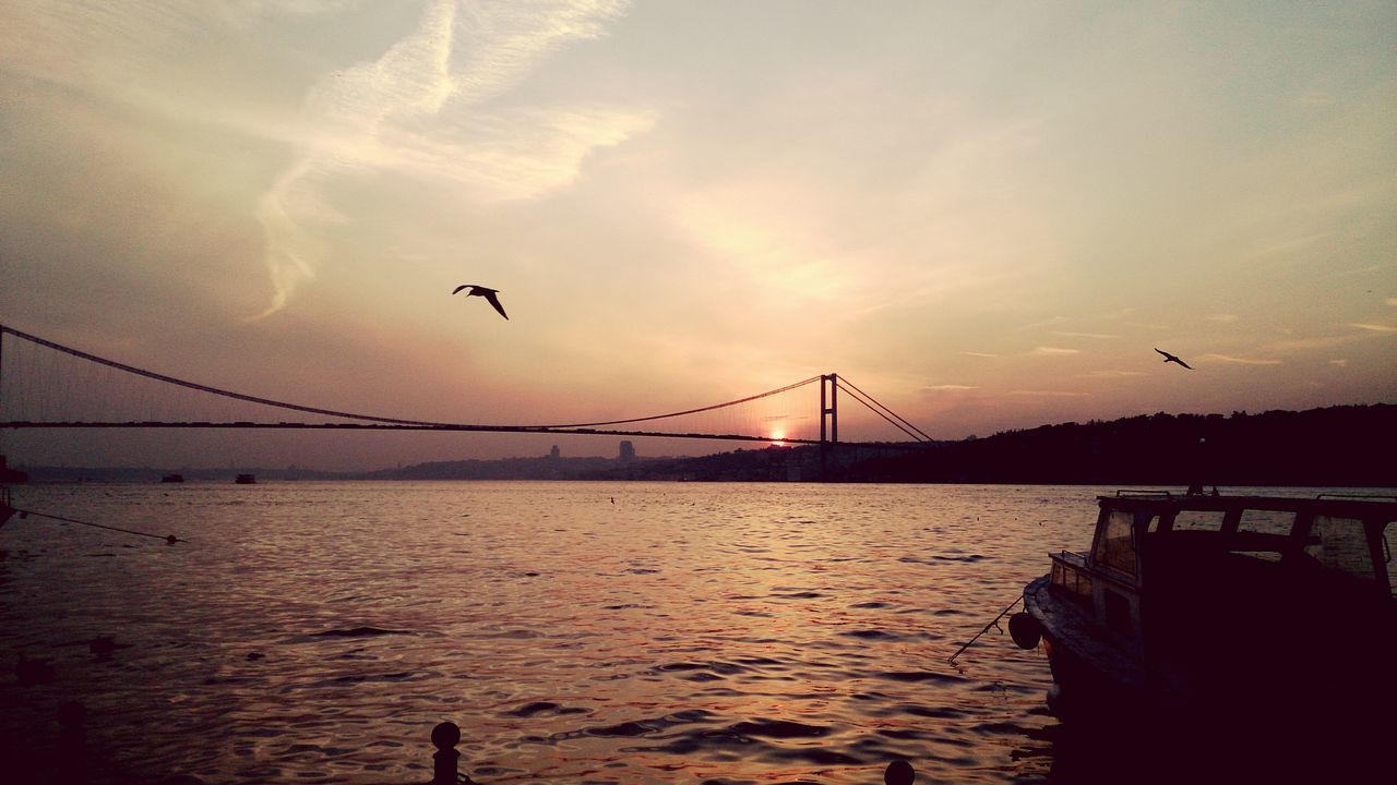 bird, animal themes, flying, animals in the wild, wildlife, connection, water, sky, sunset, silhouette, bridge - man made structure, built structure, one animal, architecture, nature, river, spread wings, transportation, low angle view