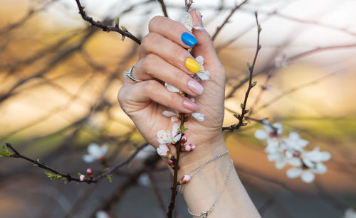 Cropped hand of woman holding plant