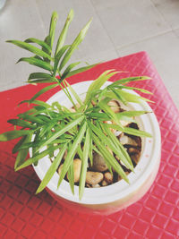 High angle view of leaves in container on table