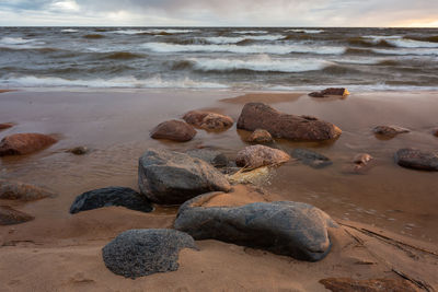 Scenic view of sea shore