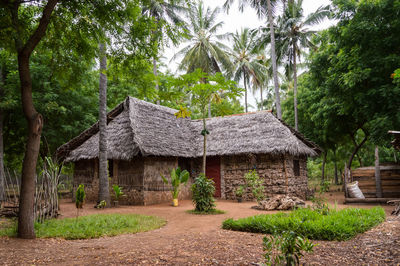 House amidst trees and plants against clear sky