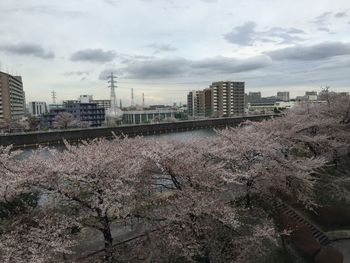 River in city against cloudy sky