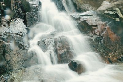 Scenic view of waterfall in forest