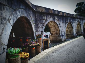 Potted plants in front of historic building