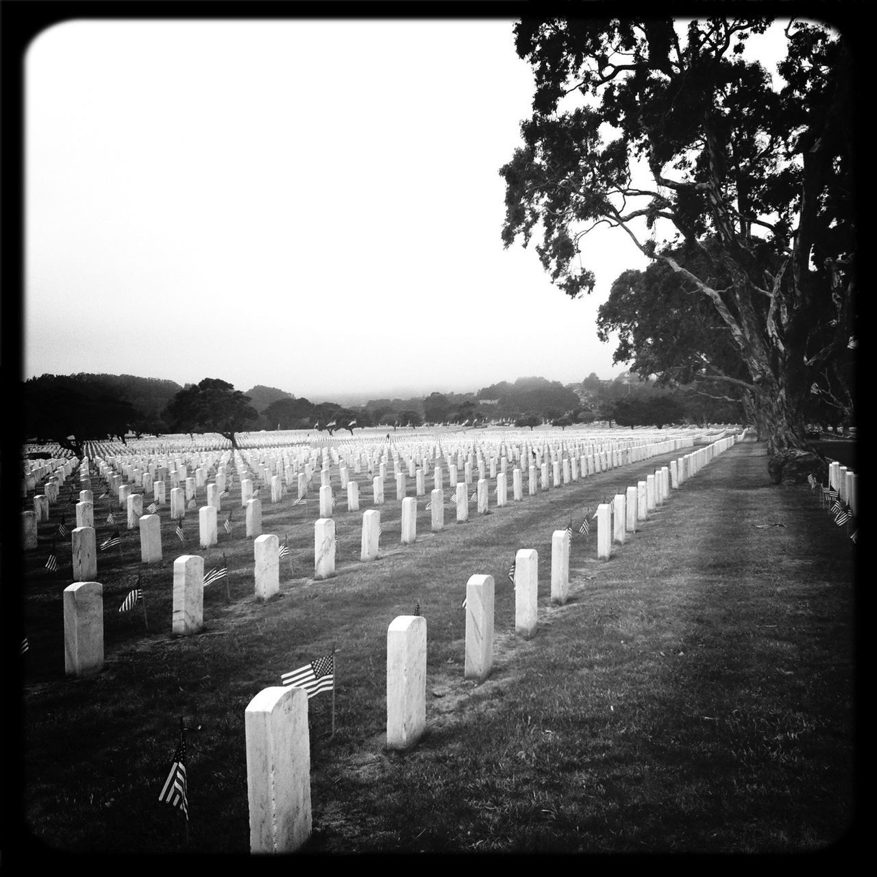 Golden Gate National Cemetary