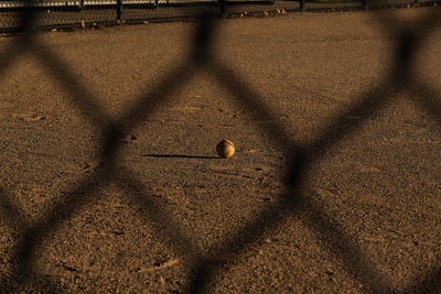 The infield of a baseball diamond in the early morning