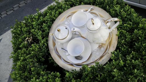 High angle view of bread on plate