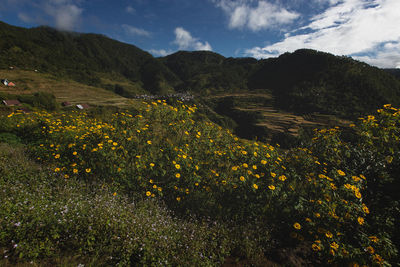 Scenic view of mountains against sky