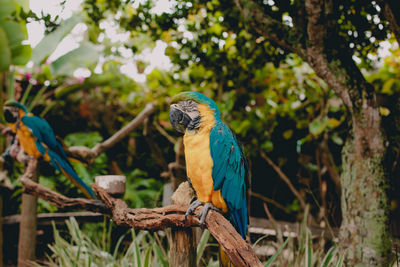 Bird perching on a branch