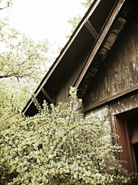 Low angle view of house