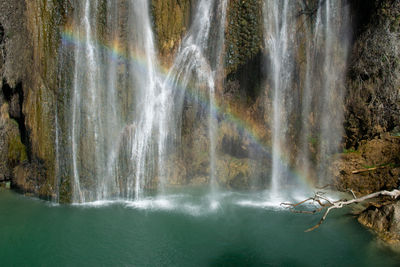 Scenic view of waterfall in forest