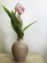 Close-up of flower pot on table against wall
