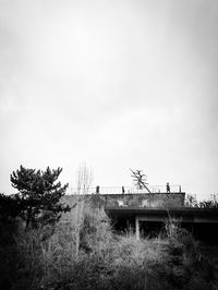 Trees and bridge against clear sky