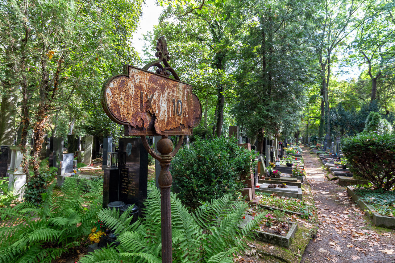 VIEW OF CROSS ON FOOTPATH