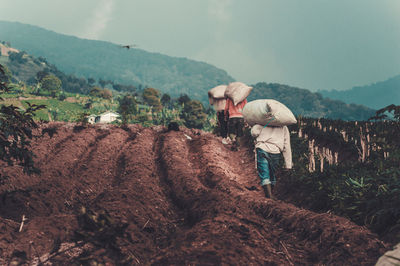 Men working on field