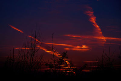 Silhouette plants on field against sky at sunset