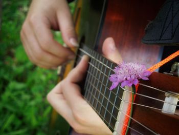 Cropped hand of woman holding flower